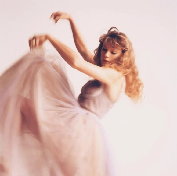 Speak Now Taylor's Version Inspired Eras Tour Outfit M/L - Picture 14 of 14